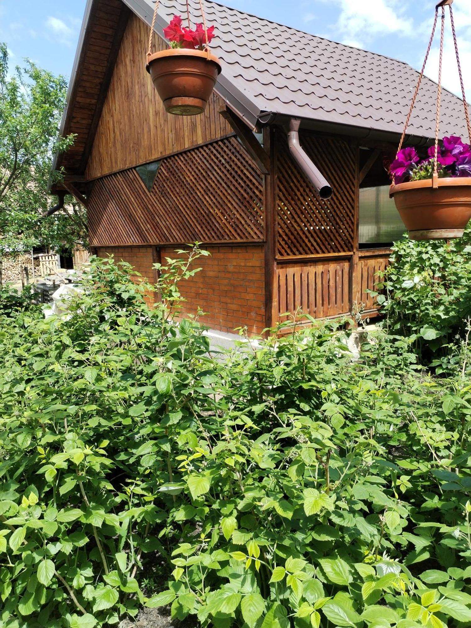 Casa Traditionala Subcetate Subcetate (Harghita) Exterior foto